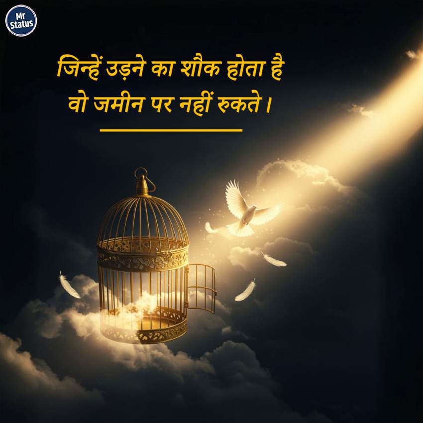 Download free status image